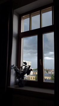 Nice Day