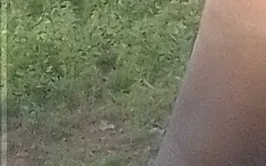Creampie