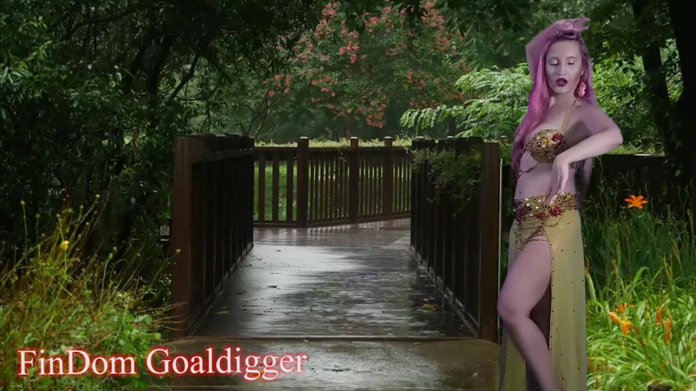 FinDom Goaldigger: Transformation en arbre