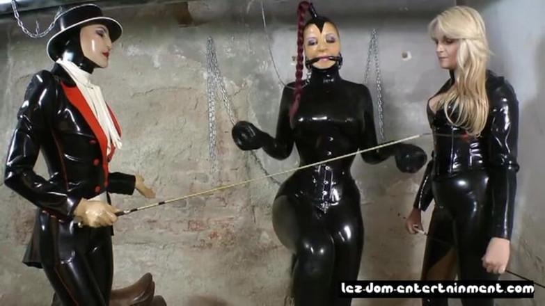 Amator Media: Ponygirl training