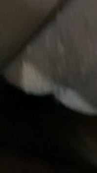 내 X 여친은 내 대물 자지를 원해
