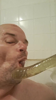 Go Bitch, Suck the Dildos