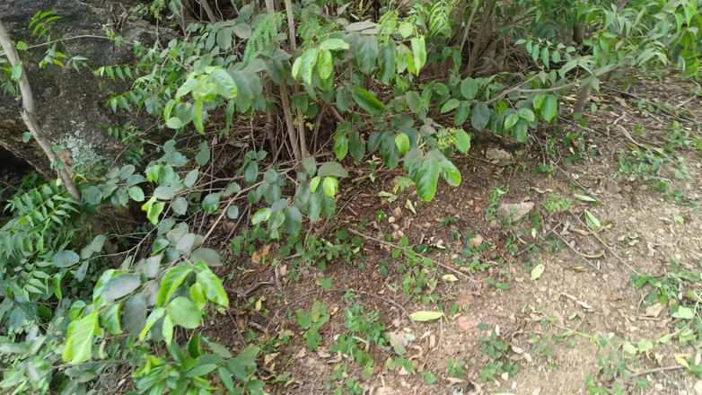 Magilmathi: Pelajar Seragam Kolej Di Luar Rumah