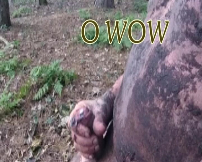 Andy: Bölüm 3 ormanda edepsiz oyun