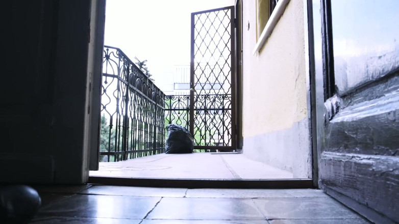 We love fucking XXX: Von der straße direkt zum schlafzimmer, hardcore