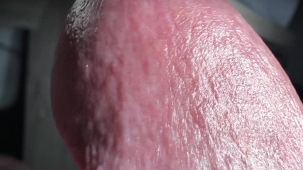 Leonardo-1974: Sperm Close-up Front