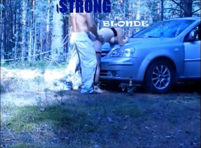 StrongSrg: Holiday in forest