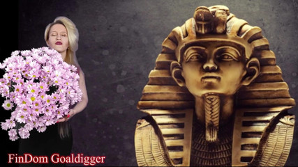 FinDom Goaldigger: Pozwolenie VIP loserpaypig