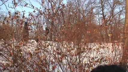 East Public: Эксгибиционисты занимаются сексом в снегу перед бесстыдными прохожими