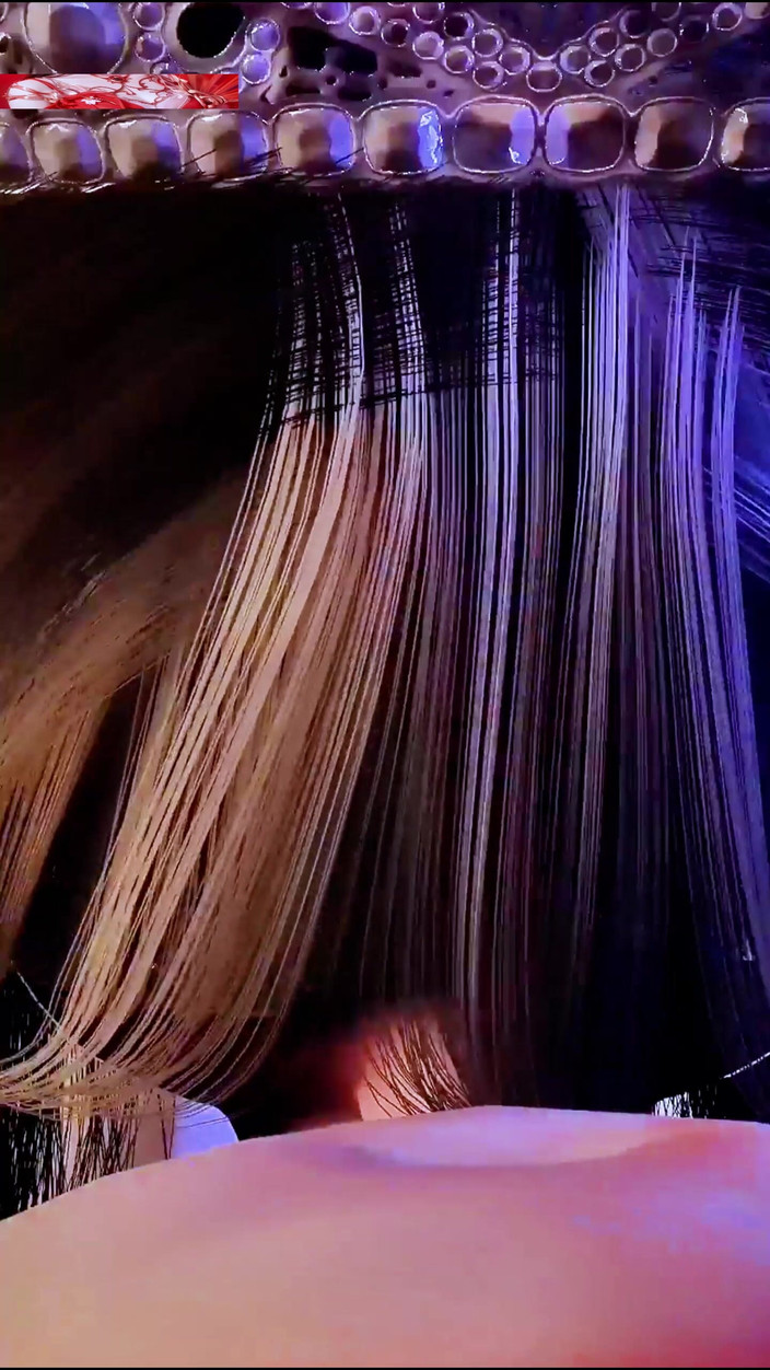 X Hentai: 3D誘惑解き:曲線の女神 - 3Dアニメーション変態