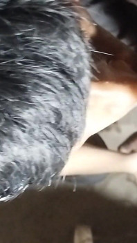 Băiat suge pula prietenilor video