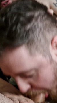 Dois ursos chupam meu pau até eu gozar na boca deles