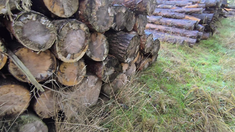 Bouncy Tits Action: Scheide Schlagen Und Bürste Reindrücken Auf Dem Holzstapel