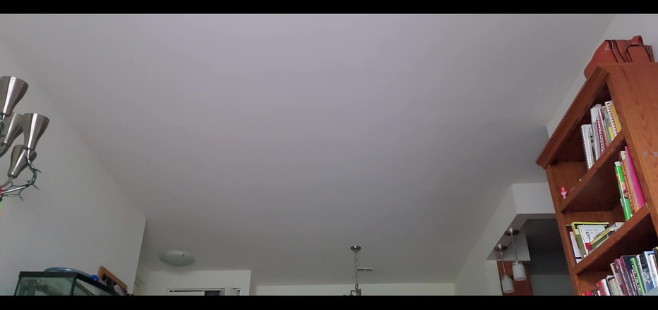 Shannon Rogue: Některé cvičení na zadek