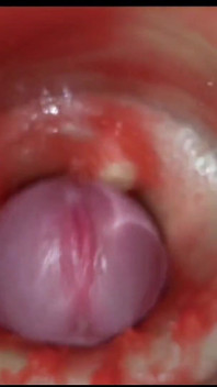 Compilação creampie parte 7 pov