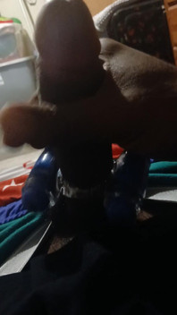 My New Toy