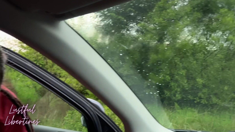 Lustful Libertines: क्या आपको अपनी खिड़कियां धोने वाले मिस्टर की जरूरत है?