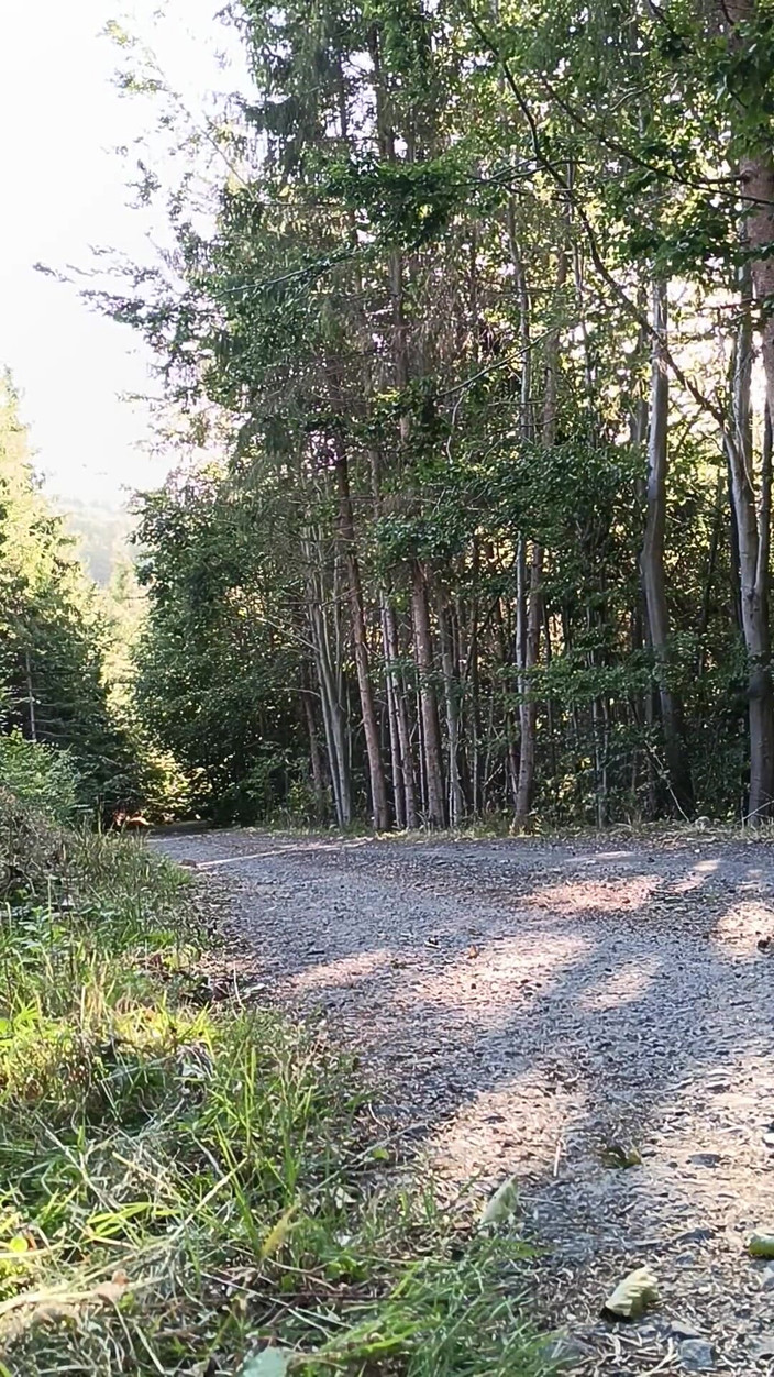 kickerscooter: Scooter-reiterin, masturbation im freien