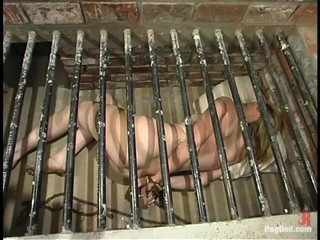 Hogtied by Kink: Maklaryn