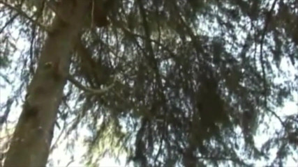 Latino Fucker: Latino musculosa follada por ébano en bosque