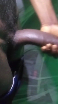 Este grande corno preto se sente tão bem