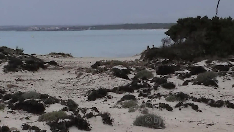 Sextermedia by Pete: Couple Spied on While Fucking on the Beach