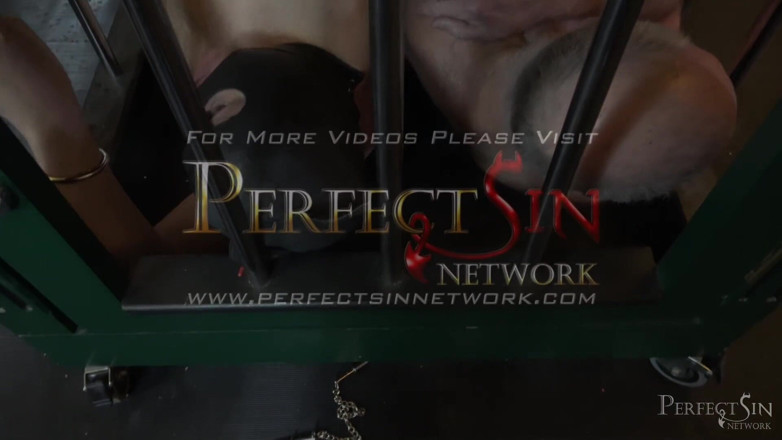 Perfect Sin Network: Absoluter gehorsam