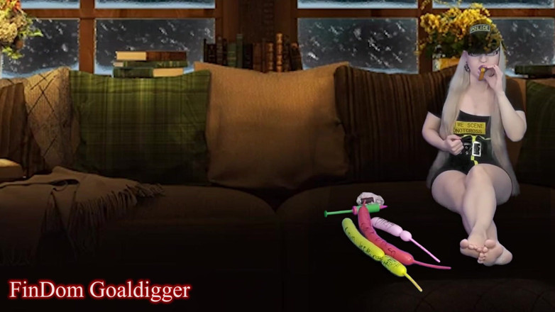 FinDom Goaldigger: Cyber CEI