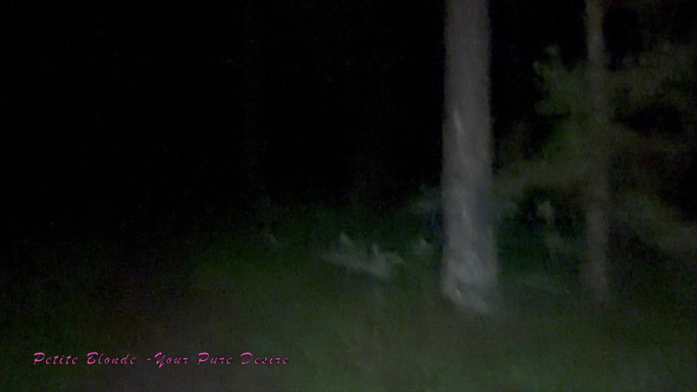 Petite blond your pure desire: Ich treffe nachts im Wald einen Typen, der mich zum...