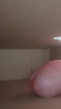 상자 안에 있는 자지