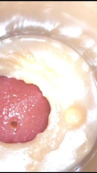 Kompilasi creampie bahagian 4 sudut pandangan pertama