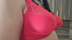 D Cup Red Lace Big Bra