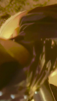 The Cave Witch Loves Anal Gaping.