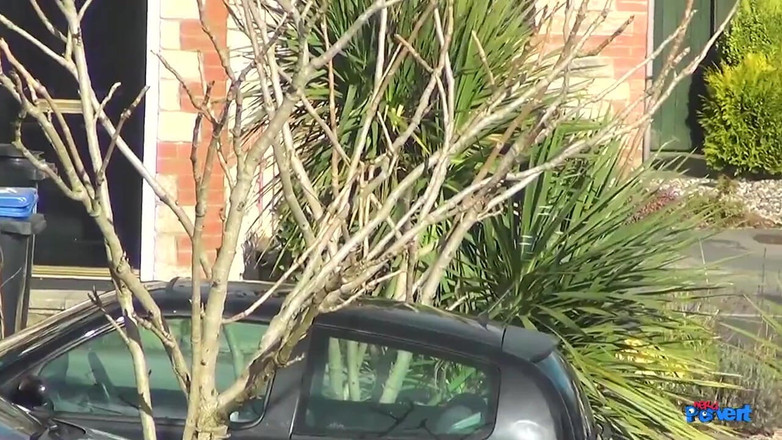 Nerd Pervert: Caitlyn Smith Cum Slut Cutie