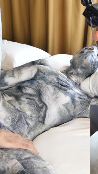 Nora Fox Wolf Zentai машина для наездов