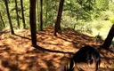DaniClark: An Oral From My Girlfriend in the Forest