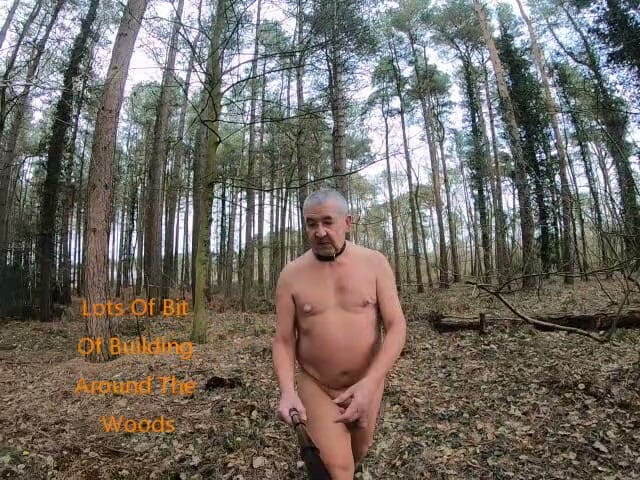 Andy: Sex Walk Round Woods 2