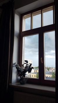 Nice Day