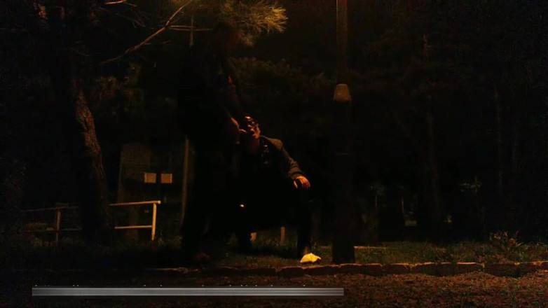 Toilet Mommy: Puta sumisa entrenada en el parque