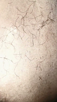 Asigama Pesura Bercakap Kotor dengan Pencukur