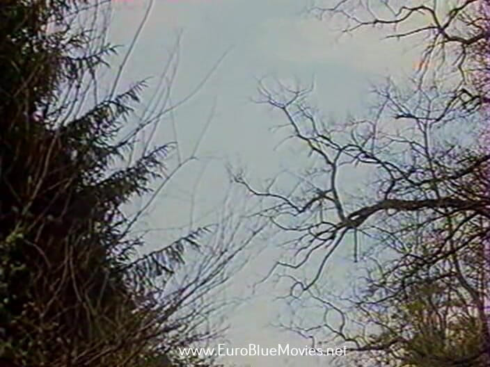 Euro Blue Movies: The Clinic of Fantasies 1980