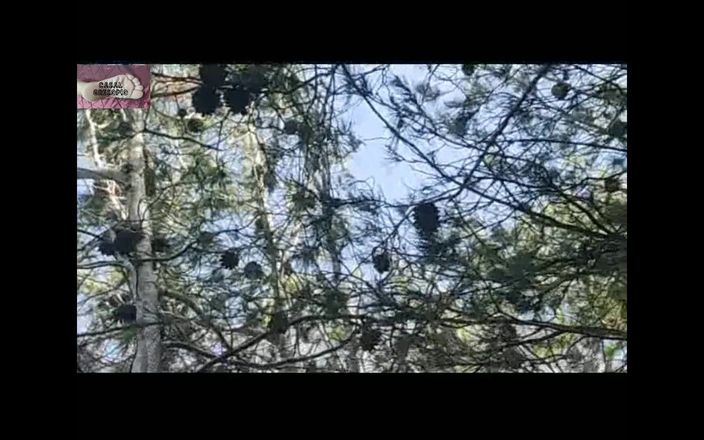 Casal Gresopio films: O lesbiană în pădure 1- Partea 1