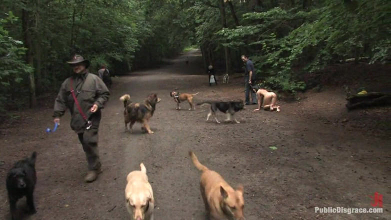 Public Disgrace by Kink: The Dog Walk