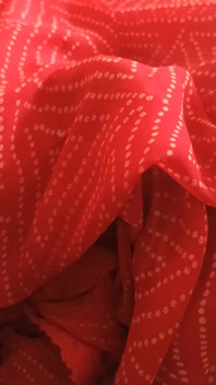 Desi Bhabhi's Beautiful Pussy