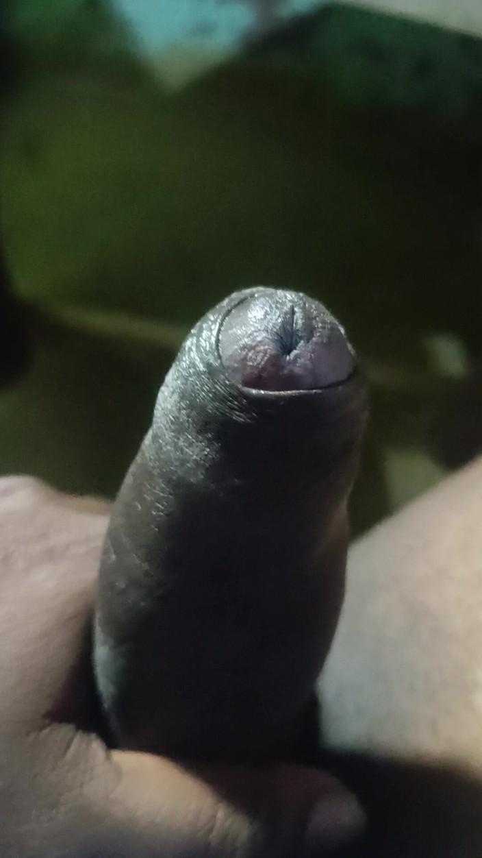 Goodboy_tamil: Sega da sola