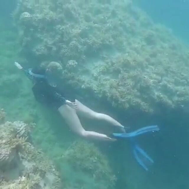 creamberryfairy: Ima sirena