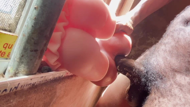 Bangcum8: Tvrdá sex videa