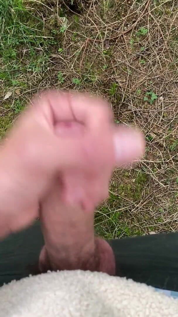 Zaharia: Cum in forest