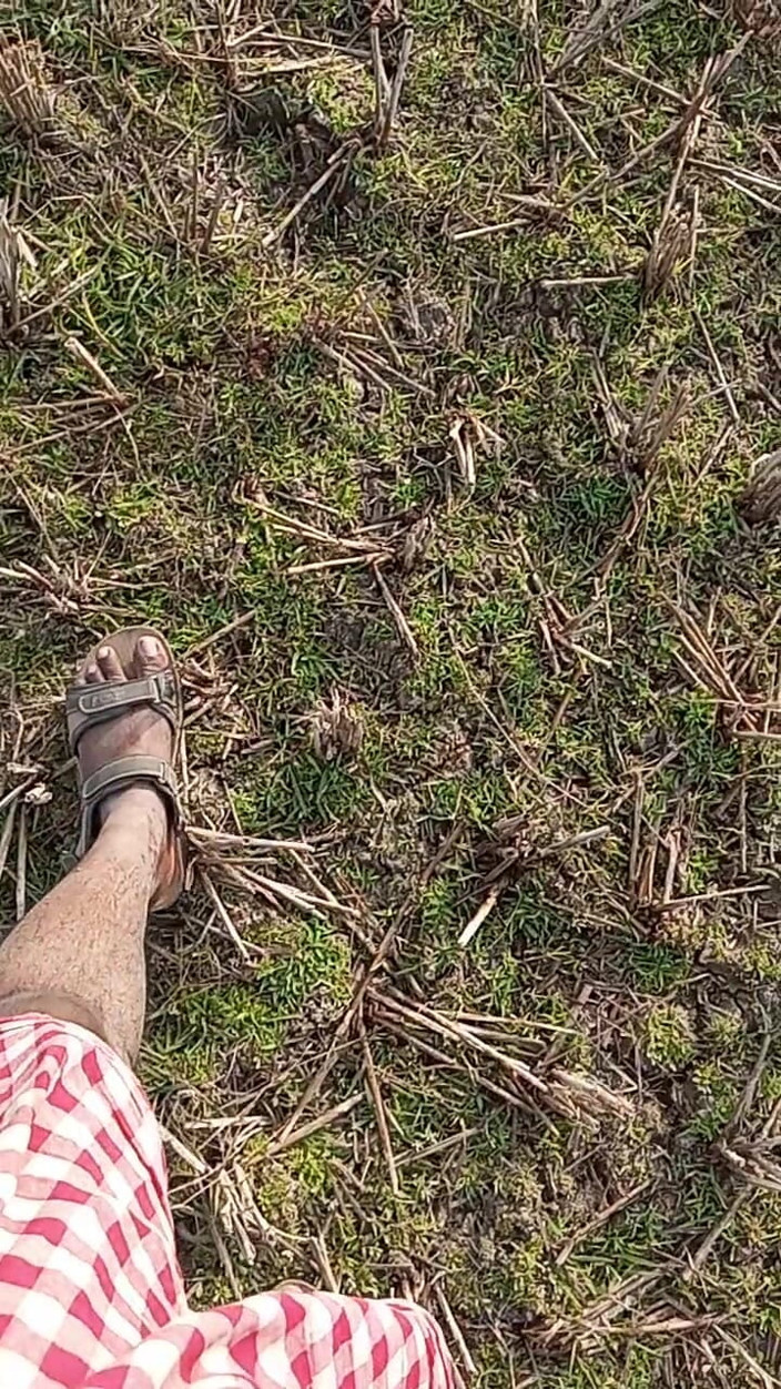 Sweet Indian cock: Gay Boy Outdoor Night Pussy Hole Sucking