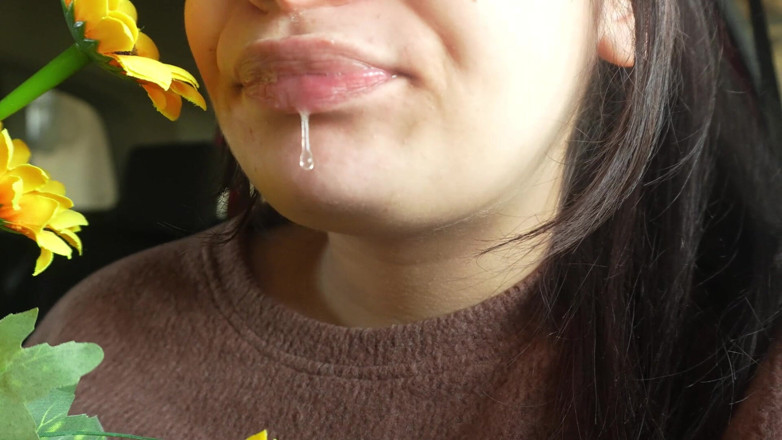 AmayaMori: 내 플라스틱 꽃 알레르기 반응 차에 재채기 적합